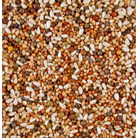 DELI NATURE HOBBYLINE DOVIX SHORT BEAK - 20KG DELI NATURE HOBBYLINE DOVIX SHORT BEAK - 20KG