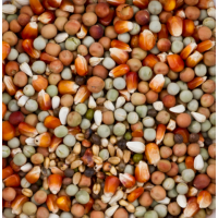 DELI NATURE HOBBYLINE DOVIX SMALL MAIZE - 20KG