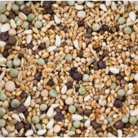 DELI NATURE HOBBYLINE DOVIX WITHOUT MAIZE - 20KG DELI NATURE HOBBYLINE DOVIX WITHOUT MAIZE - 20KG