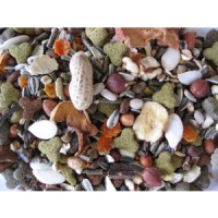 DELI NATURE ESQUILOS MENU (FRUTOS & NOZES ) 750GR
