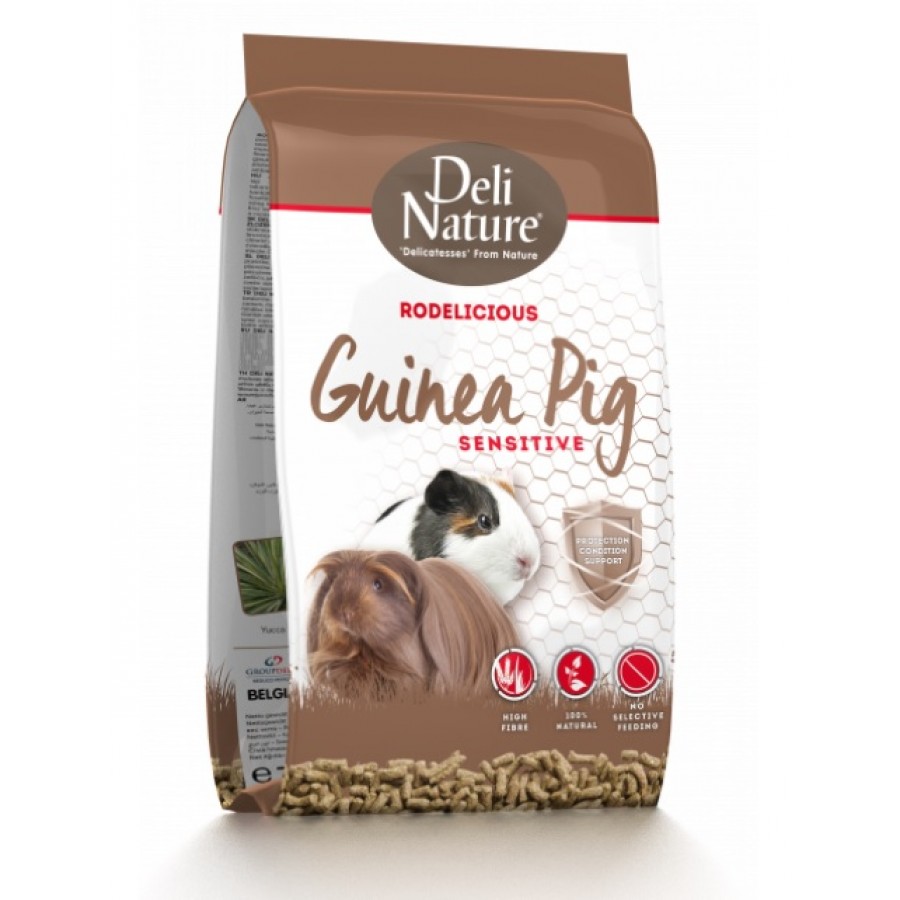 DELI NATURE RODELICIOUS PORQUINHOS DA INDIA SENSIVEIS  750G