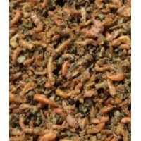 DELI NATURE PAPA INSECTÍVORA TOVO  - 6 KG