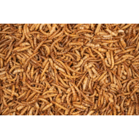 DELI NATURE HOBBYLINE CHIX MEALWORMS - 500G