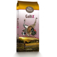 DELI NATURE HOBBYLINE GALLIX ORNAMENTAL START MEAL - 20KG