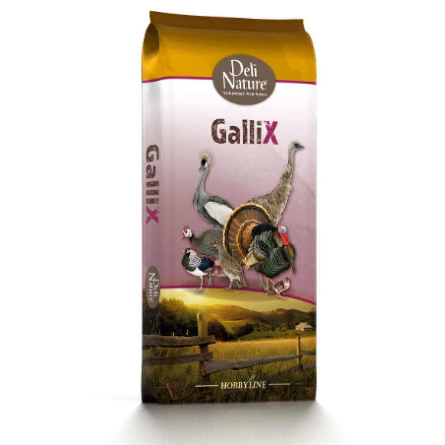 DELI NATURE HOBBYLINE GALLIX ORNAMENTAL MAINTENANCE PELLET- 20KG DELI NATURE HOBBYLINE GALLIX ORNAMENTAL MAINTENANCE PELLET- 20KG