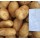 S.BATATA EUROPLANT DONATA 35/55 - 25KG