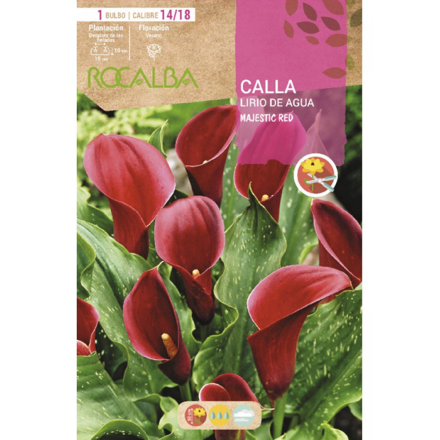 S.BOLBO SAQUETA JARROS MAJESTIC RED-EBCA9200