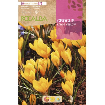 S.BOLBO SAQUETA CROCUS LARGE YELLOW -EBCR6210 AMARELO