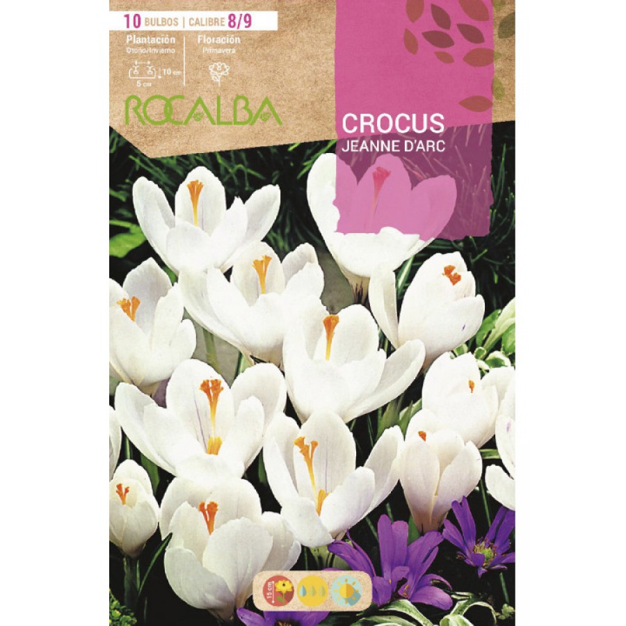 S.BOLBO SAQUETA CROCUS JEANNE D'ARC -BRANCO-EBCR6220 S.BOLBO SAQUETA CROCUS JEANNE D'ARC -BRANCO-EBCR6220