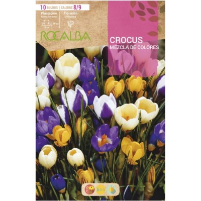 S.BOLBO SAQUETA CROCUS  MISTURA DE CORES-EBCR6230