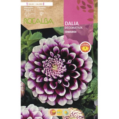 S.BOLBO SAQUETA DALIA DECORATIVA EDINBURGH-EBDD8260