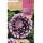 S.BOLBO SAQUETA DALIA DECORATIVA EDINBURGH-EBDD8260