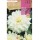 S.BOLBO SAQUETA DALIA DECORATIVA SNOWCOUNTRY-EBDD8305