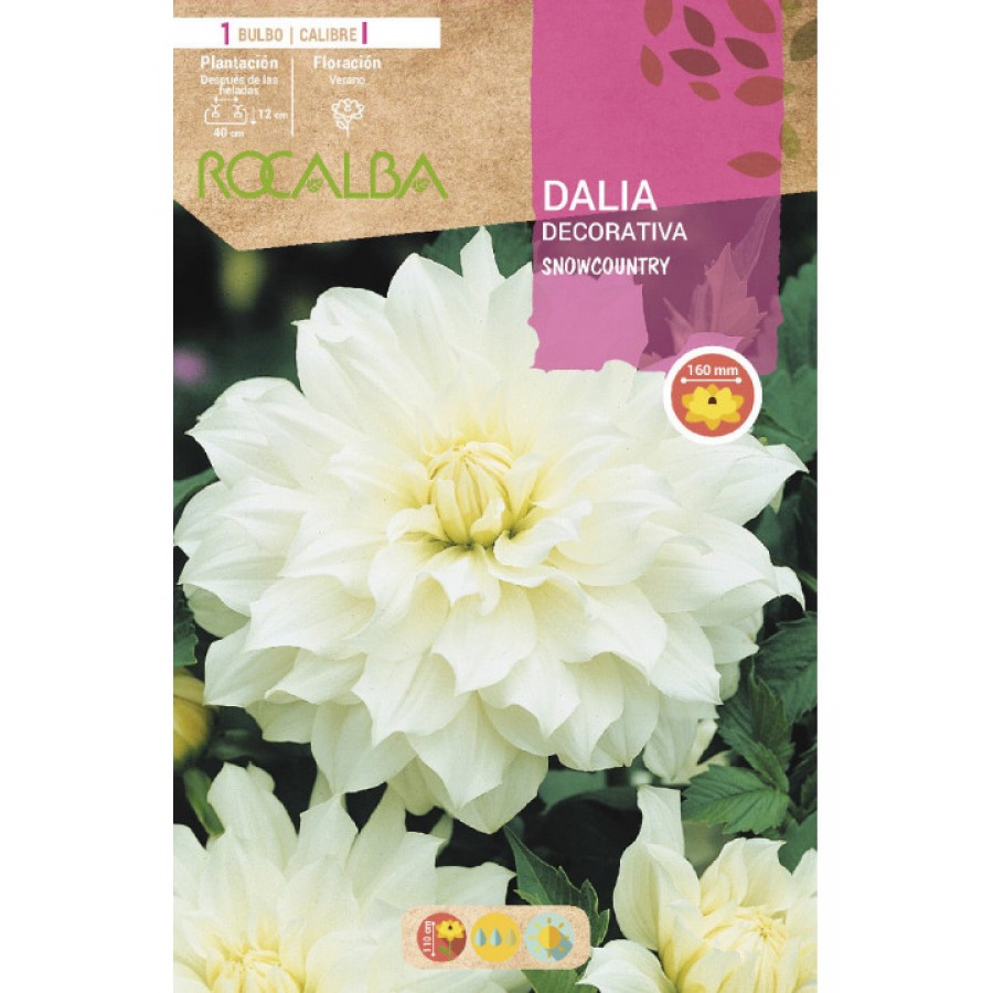 S.BOLBO SAQUETA DALIA DECORATIVA SNOWCOUNTRY-EBDD8305 S.BOLBO SAQUETA DALIA DECORATIVA SNOWCOUNTRY-EBDD8305