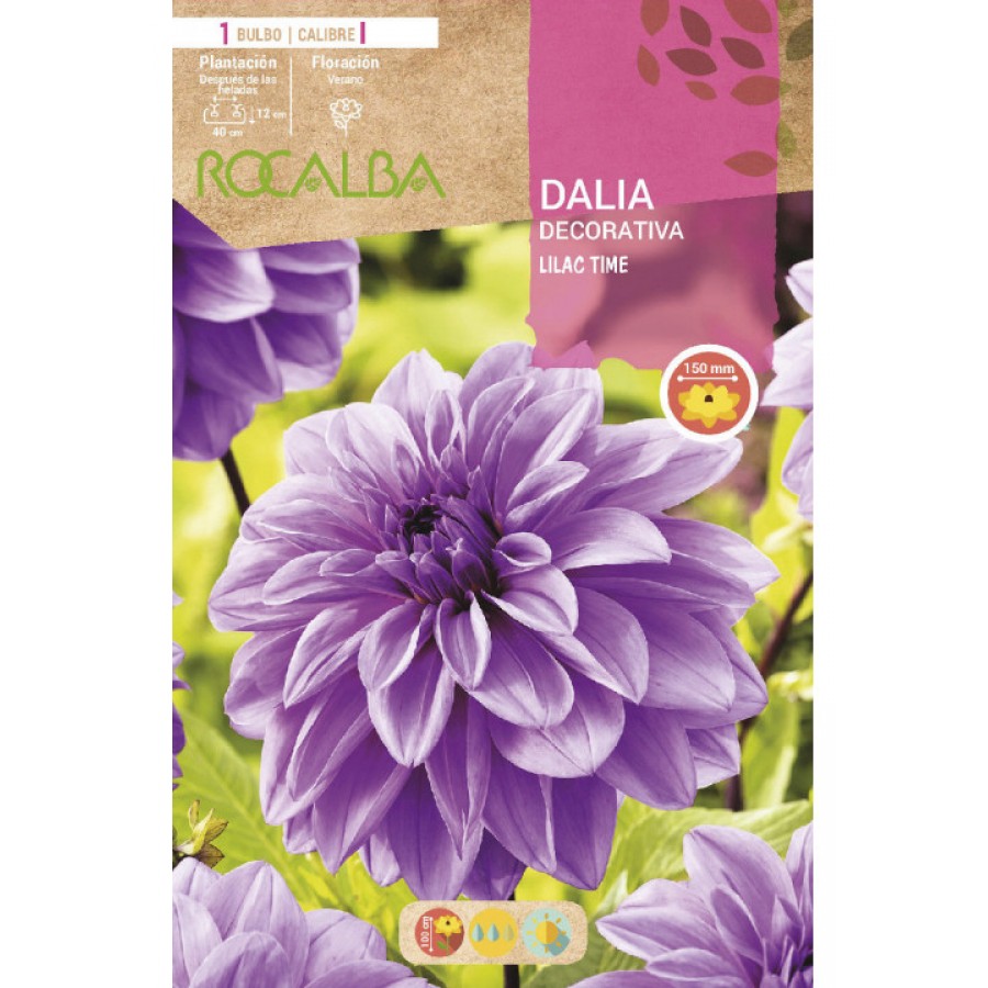 S.BOLBO SAQUETA DALIA DECORATIVA LILAC TIME