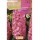 S.BOLBO SAQUETA JACINTO PINK PEARL - EBJN5500
