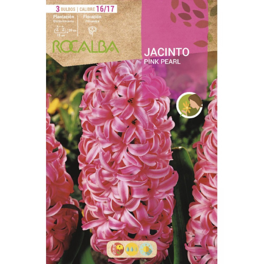 S.BOLBO SAQUETA JACINTO PINK PEARL - EBJN5500