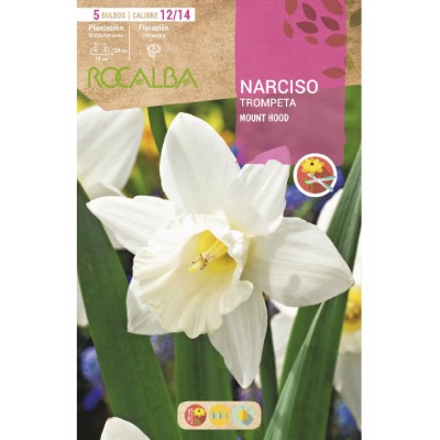 S.BOLBO SAQUETA ROCALBA NARCISO TROMPETA  MOUNT HOOD BRANCO