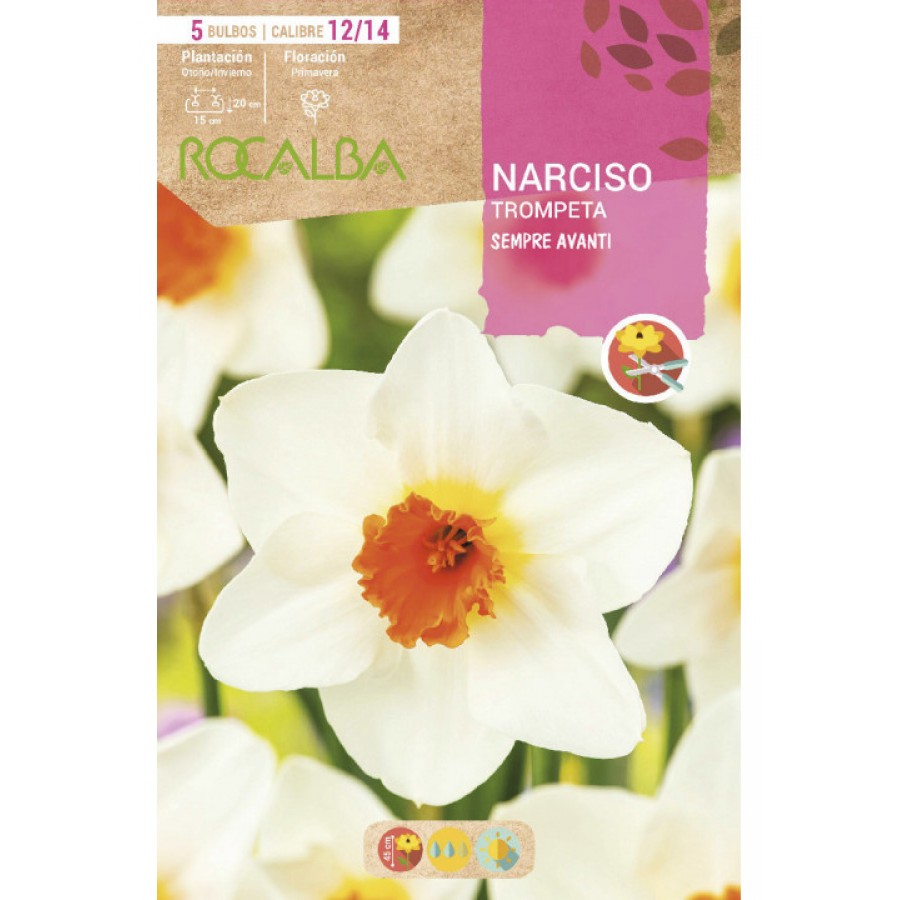 S.BOLBO SAQUETA ROCALBA NARCISO SEMPRE AVANTI -BRANCO TROMPETA LARANJA-EBNT5675 S.BOLBO SAQUETA ROCALBA NARCISO SEMPRE AVANTI -BRANCO TROMPETA LARANJA-EBNT5675
