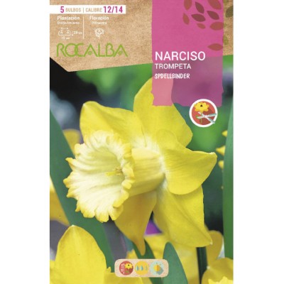 S.BOLBO SAQUETA ROCALBA NARCISO TROMPETA <br>SPELLBINDER -AMARELO CREME-EBNT5690
