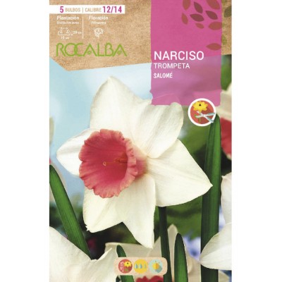 S.BOLBO SAQUETA ROCALBA NARCISO TROMPETA SALOME BRANCO E ROSA