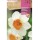 S.BOLBO SAQUETA ROCALBA NARCISO BARRET BROWNING -BLANCO CENTRO NARANJA EBNT5710