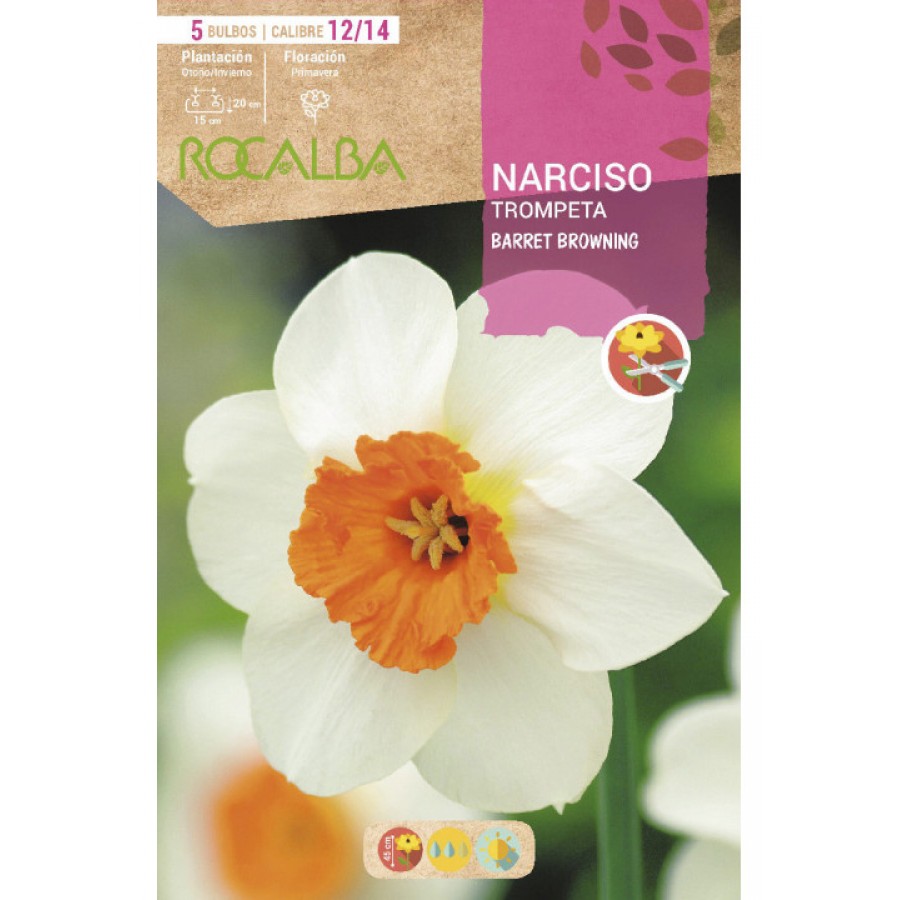 S.BOLBO SAQUETA ROCALBA NARCISO BARRET BROWNING -BLANCO CENTRO NARANJA EBNT5710 S.BOLBO SAQUETA ROCALBA NARCISO BARRET BROWNING -BLANCO CENTRO NARANJA EBNT5710