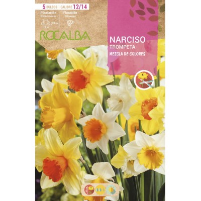 S.BOLBO SAQUETA ROCALBA NARCISO TROMPETA -MISTURA DE CORES-EBNT5715