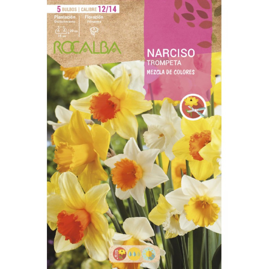 S.BOLBO SAQUETA ROCALBA NARCISO TROMPETA -MISTURA DE CORES-EBNT5715