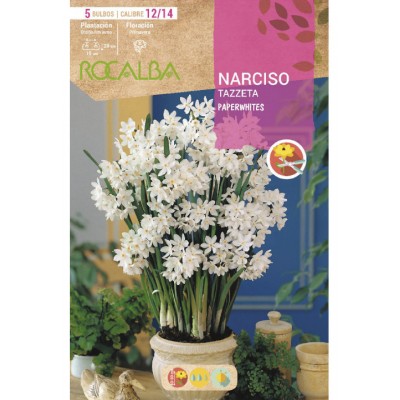 S.BOLBO SAQUETA NARCISOS TAZZETA PAPERWHITES -BRANCO<br>-EBNZ5745