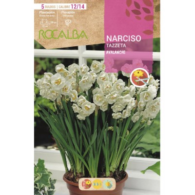 S.BOLBO SAQUETA NARCISOS TAZZETA AVALANCHE -BRANCO CENTRO AMARELO-EBNZ5750