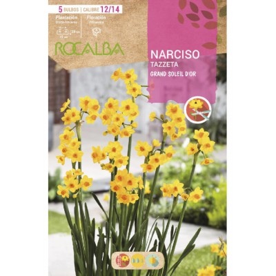 S.BOLBO SAQUETA NARCISOS TAZZETA GRAND SOLEIL D'OR -AMARILLO -EBNZ5755