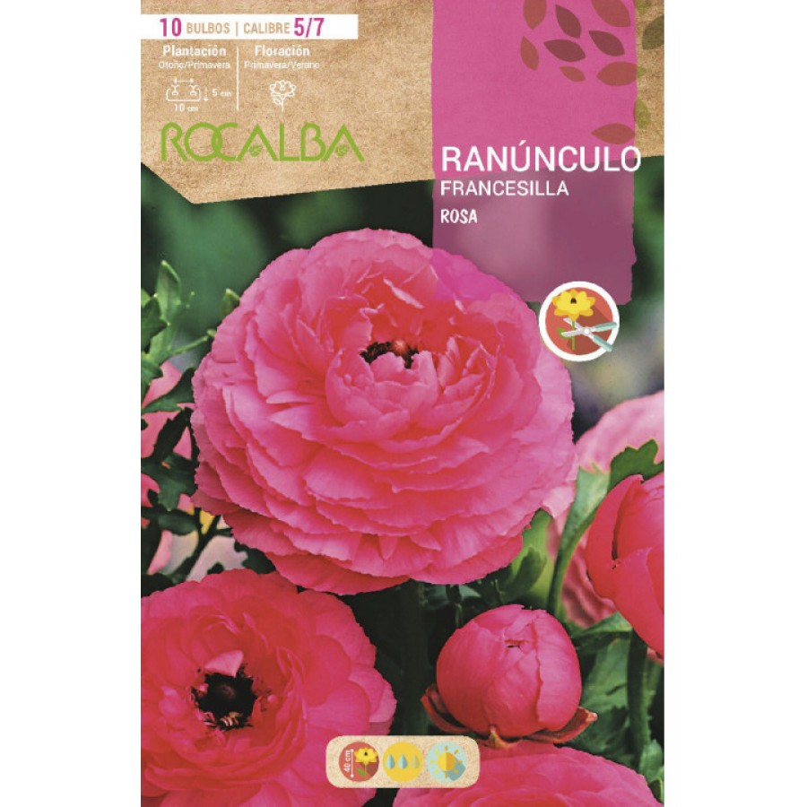 S.BOLBO SAQUETA RANUNCULO FRANCESILLA ROSA -EBRF6115