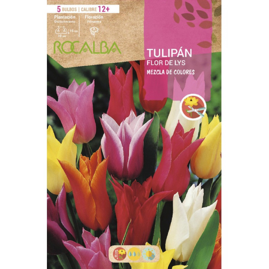S.BOLBO SAQUETA TULIPA FLOR DE LYS MISTURA CORES -EBTF5280 S.BOLBO SAQUETA TULIPA FLOR DE LYS MISTURA CORES -EBTF5280