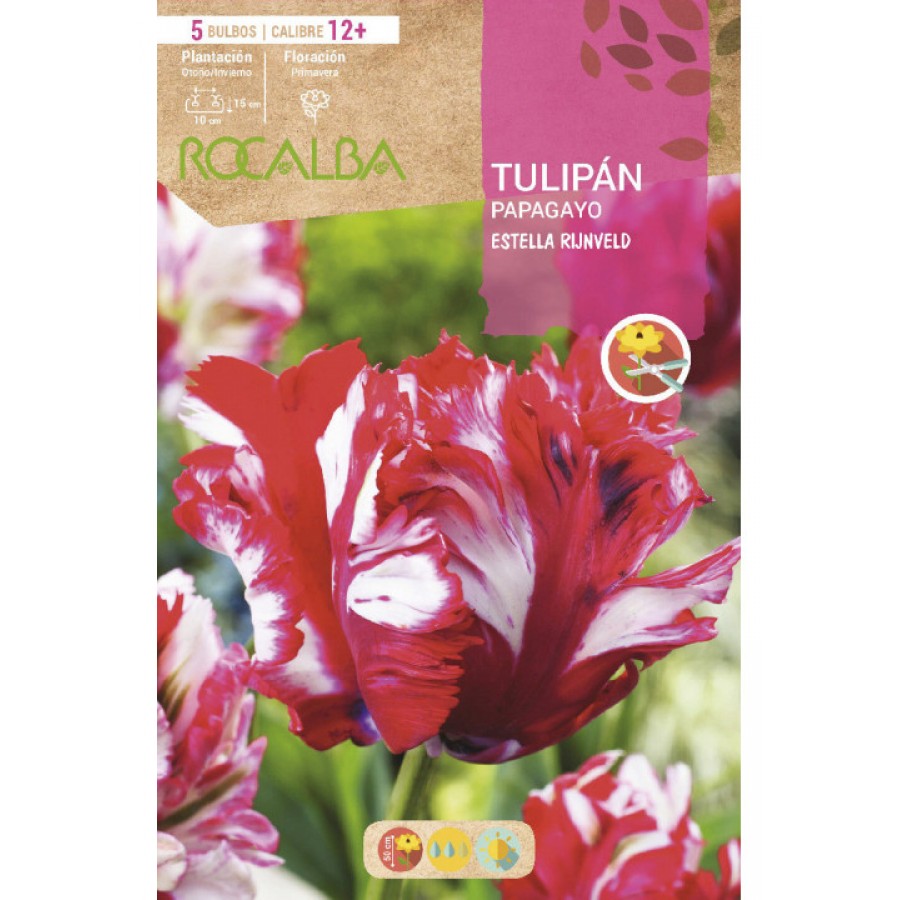 S.BOLBO SAQUETA TULIPA PAPAGAIO ESTELLA RIJNVELD -EBTG5355 S.BOLBO SAQUETA TULIPA PAPAGAIO ESTELLA RIJNVELD -EBTG5355