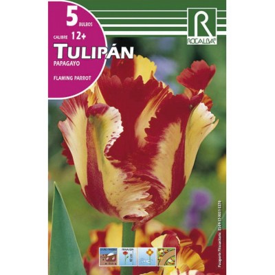 S.BOLBO SAQUETA TULIPA PAPAGAIO FLAMING PARROT -EBTG5370