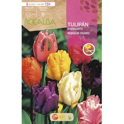 S.BOLBO SAQUETA TULIPA PAPAGAIO MISTURA CORES  -EBTG5380