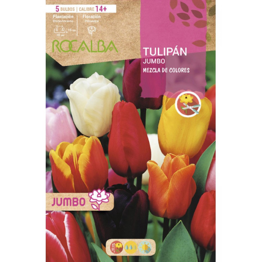 S.BOLBO SAQUETA TULIPA JUMBO MISTURA CORES -EBTJ5180 S.BOLBO SAQUETA TULIPA JUMBO MISTURA CORES -EBTJ5180
