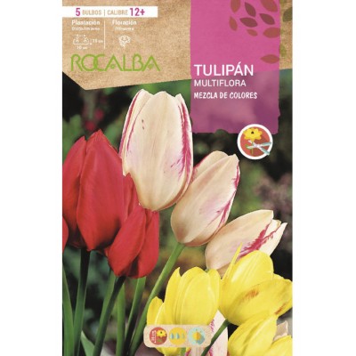 S.BOLBO SAQUETA TULIPA MULTIFLORA MISTURA CORES   -EBTM5325