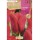 S.BOLBO SAQUETA TULIPA ROSA VAN EIJK -EBTN5005
