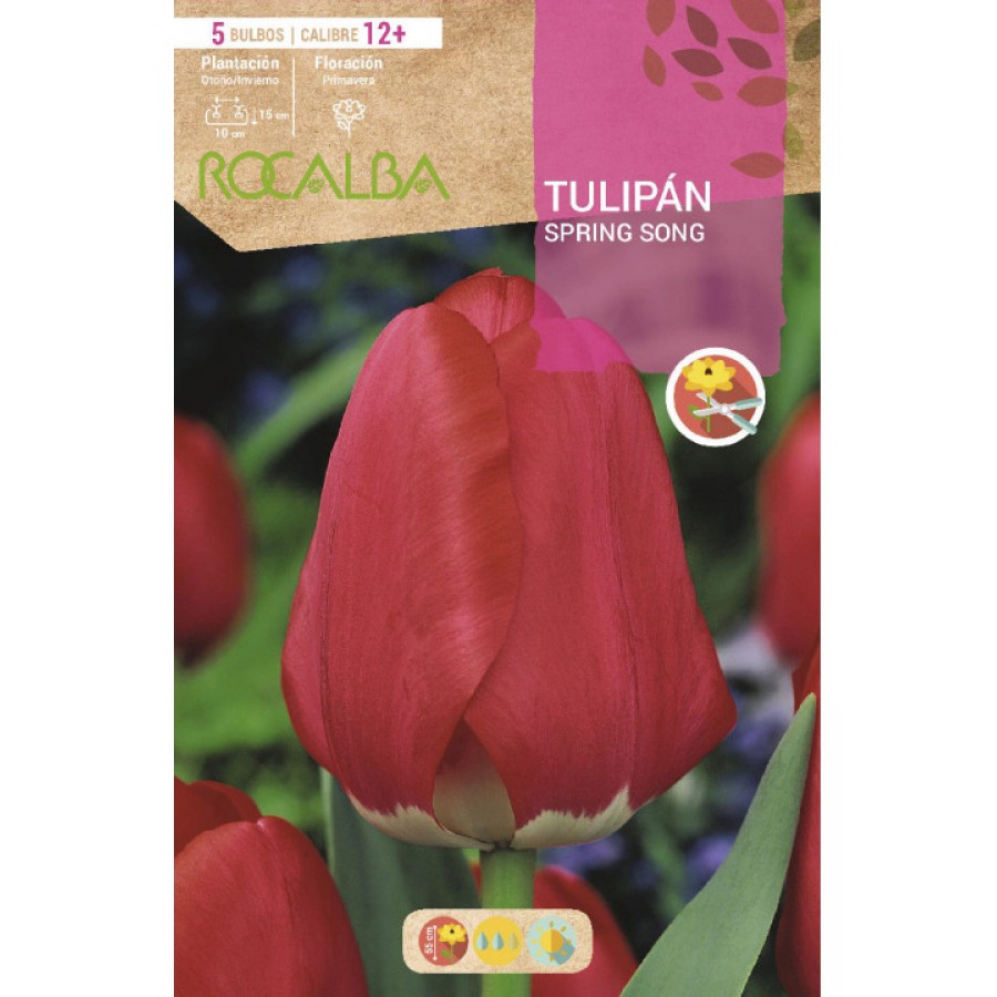 S.BOLBO SAQUETA TULIPA SPRING SONG -EBTN5010
