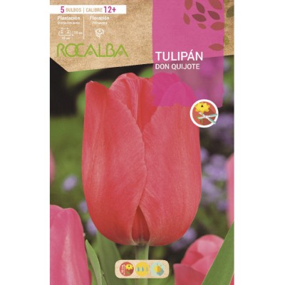 S.BOLBO SAQUETA TULIPA ROSA DON QUIJOTE  -EBTN5030