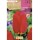 S.BOLBO SAQUETA TULIPA VERMELHA OXFORD -EBTN5035