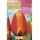 S.BOLBO SAQUETA TULIPA VERMELHA/ AMARELA APELDOORN'S ELITE -EBTN5085