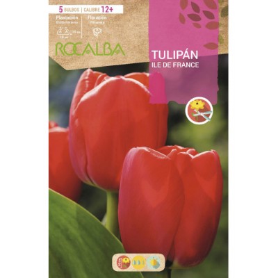 S.BOLBO SAQUETA TULIPA VERMELHA ILE DE FRANCE -EBTN5090