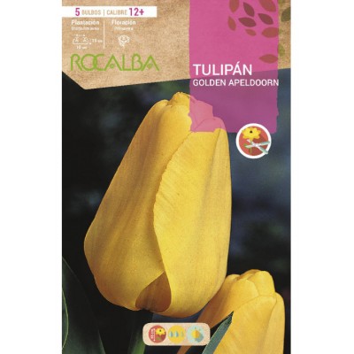 S.BOLBO SAQUETA TULIPA AMARELA GOLDEN APELDOORN -EBTN5095