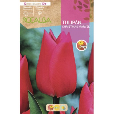 S.BOLBO SAQUETA TULIPA ROSA CHRISTMAS MARVEL  -EBTN5105