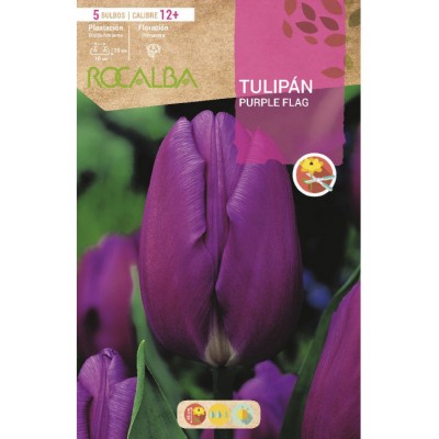 S.BOLBO SAQUETA TULIPA PURPURA PURPLE FLAG -EBTN5115