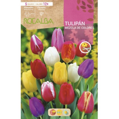 S.BOLBO SAQUETA TULIPA MISTURA CORES -EBTN5130