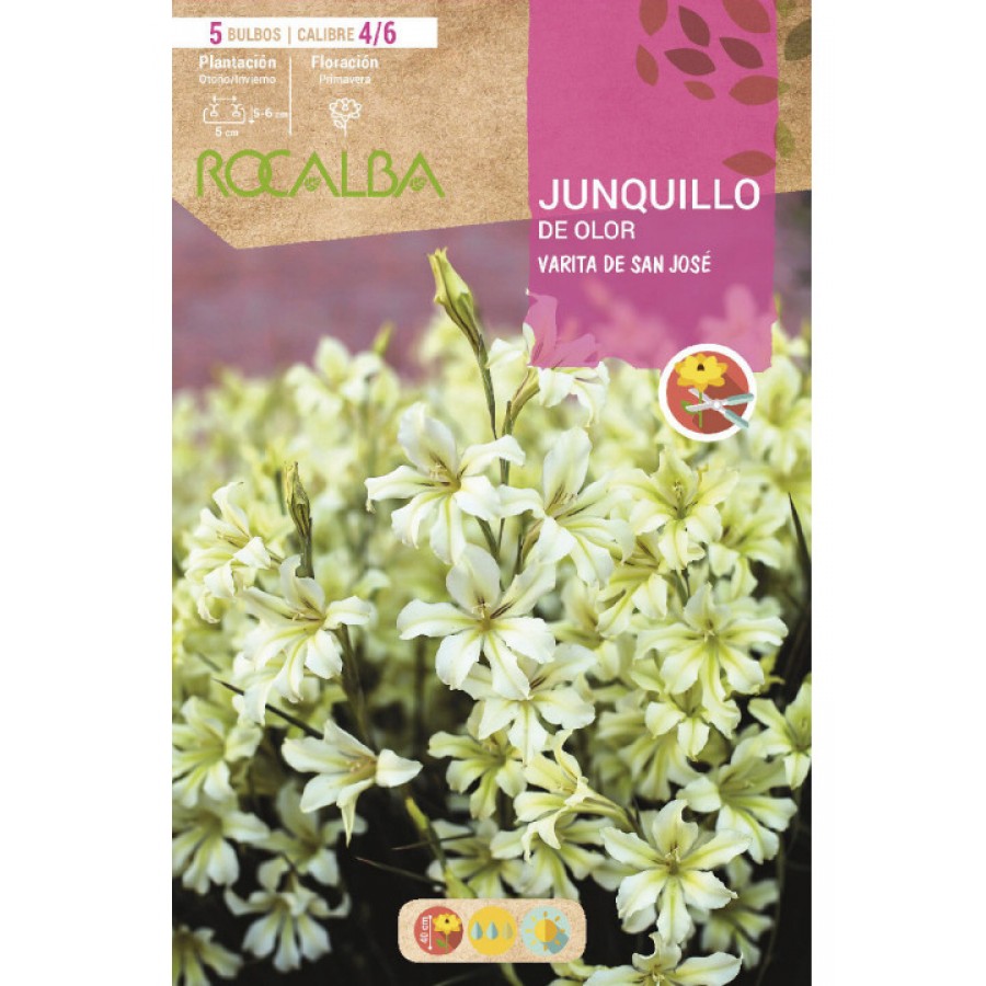 S.BOLBO SAQUETA JUNQUILHO DE CHEIRO VARINHA DE SAO JOSE-EBVV6600